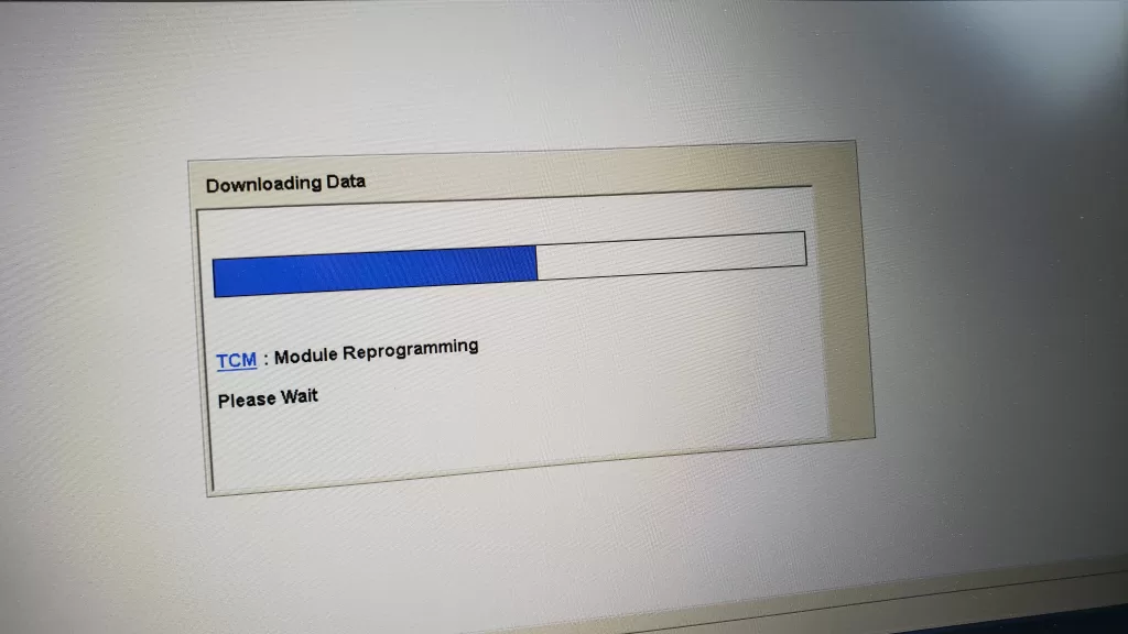 Professional TCM module programming and flashing services